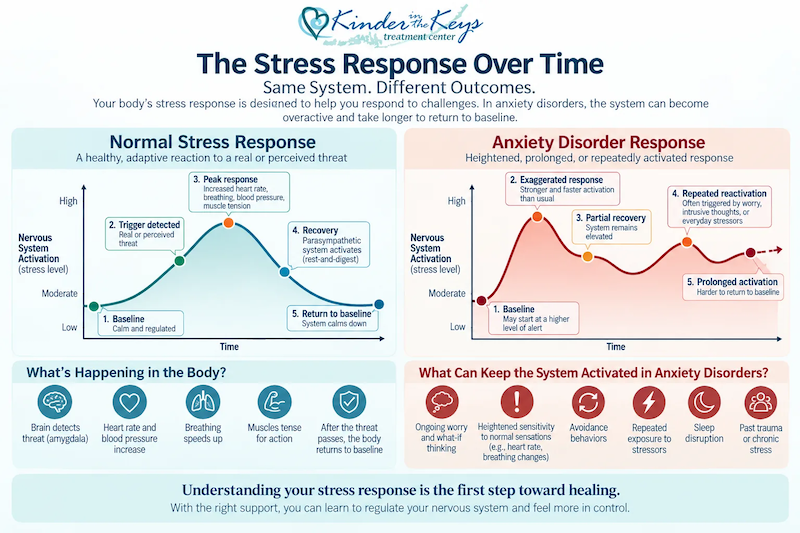 normal anxiety vs anxiety disorder stress response over time